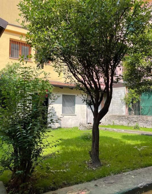 Апартаменты Il Giardino Nascosto Оменья Экстерьер фото
